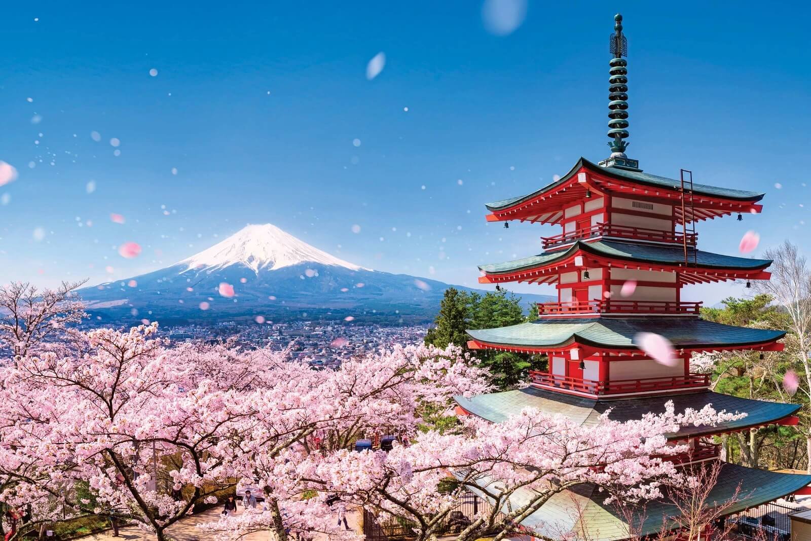 Japonya Kore Turu Eko THY ile